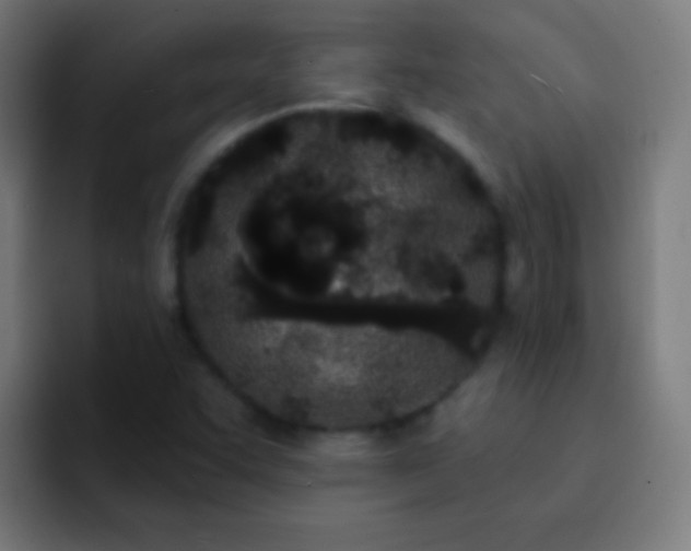 X0000093091455200710031803