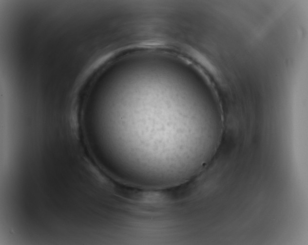 X0000093091456200710031803