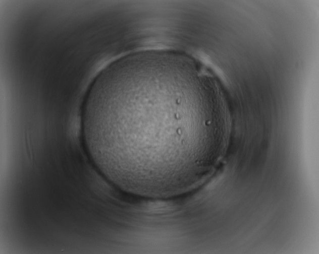 X0000093091459200710031803