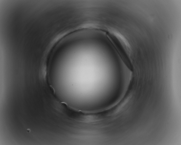 X0000093091461200710031803