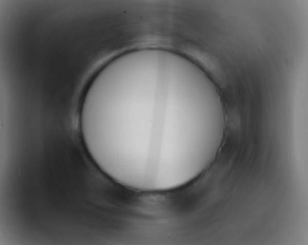 X0000093091462200710031803