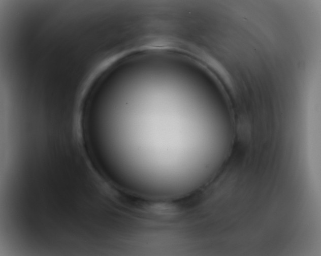 X0000093091464200710031803