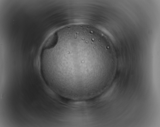 X0000093091467200710031803