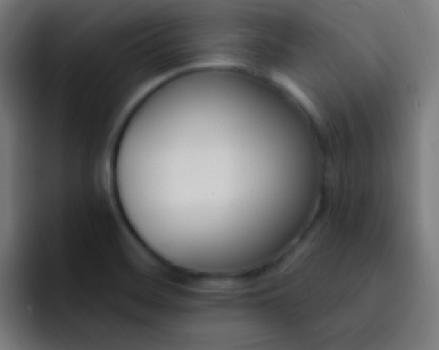 X0000093091468200710031803