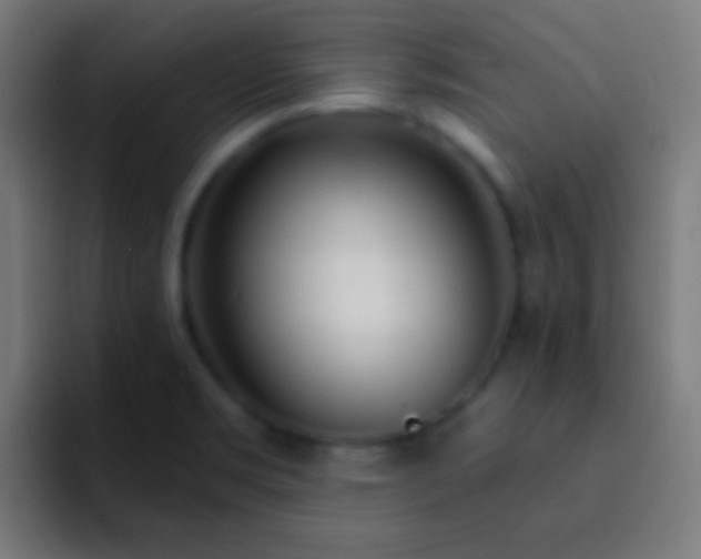 X0000093091469200710031803