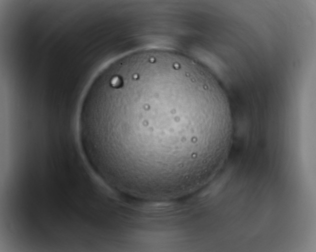 X0000093091471200710031803