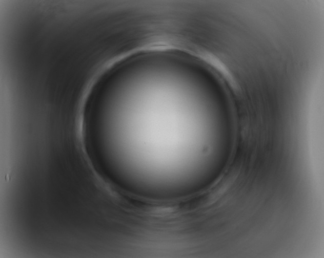 X0000093091472200710031803