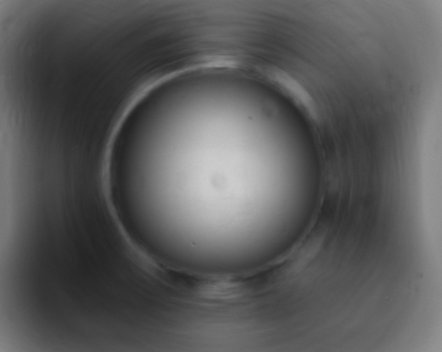 X0000093091475200710031803