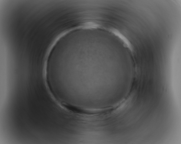 X0000093091477200710031803