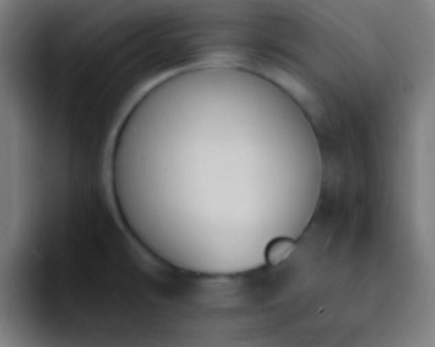 X0000093091478200710031803