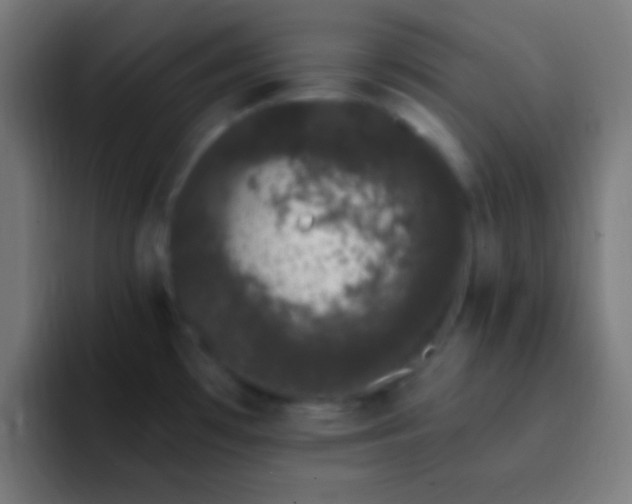 X0000093091481200710031803