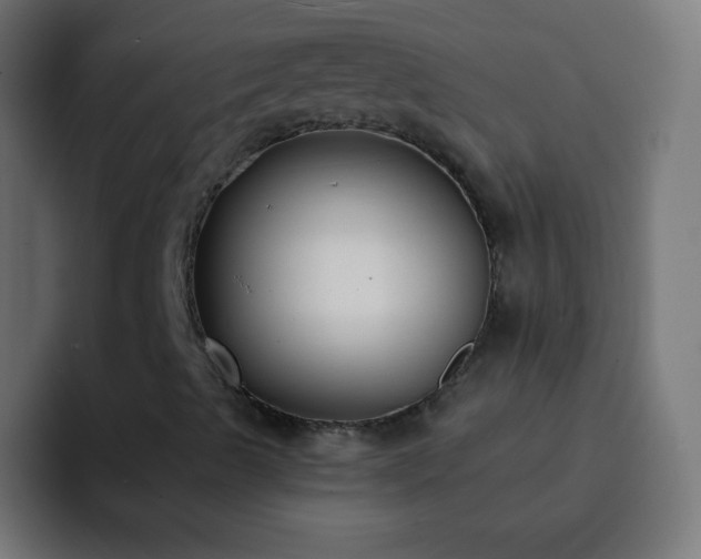 X0000093091489200710031802