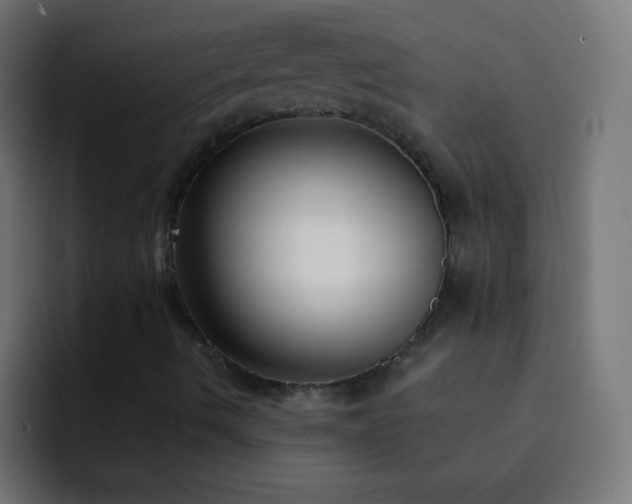 X0000093091490200710031802