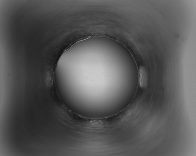 X0000093091491200710031802