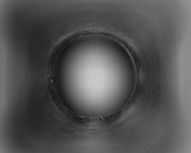 X0000093091494200710031802