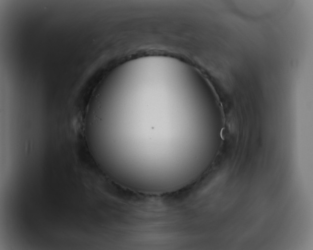 X0000093091495200710031802