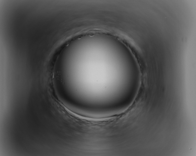 X0000093091496200710031802