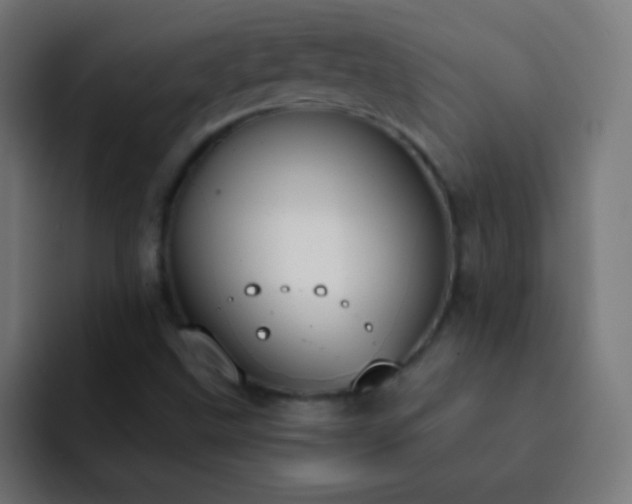 X0000093091499200710031802