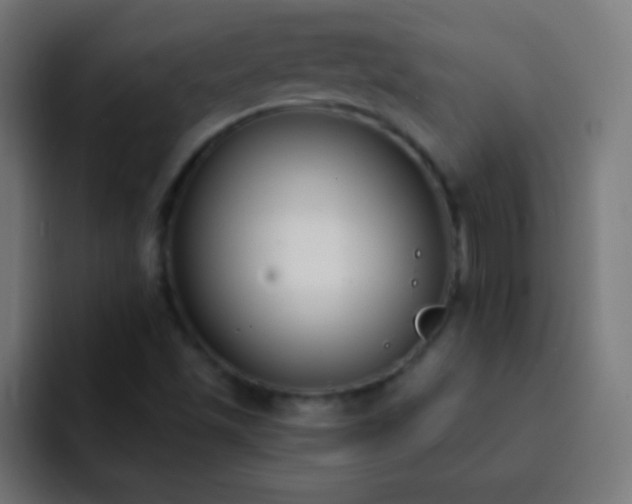 X0000093091501200710031802