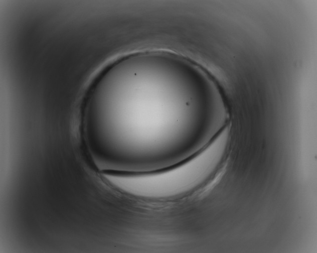 X0000093091502200710031802