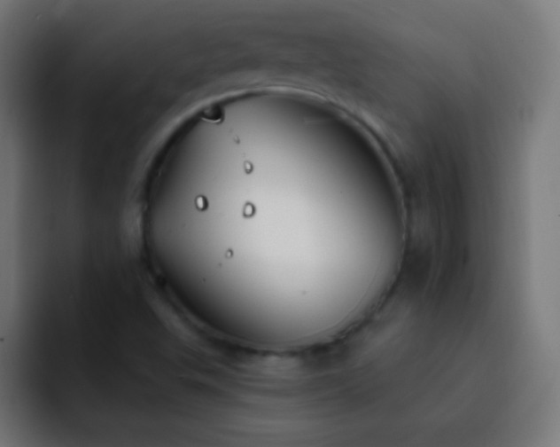 X0000093091503200710031802