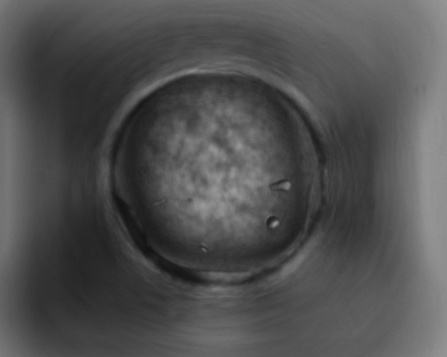 X0000093091506200710031802