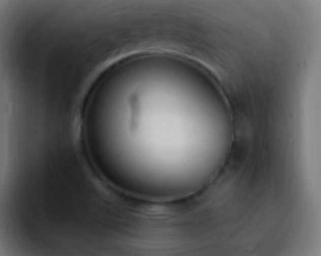 X0000093091507200710031802