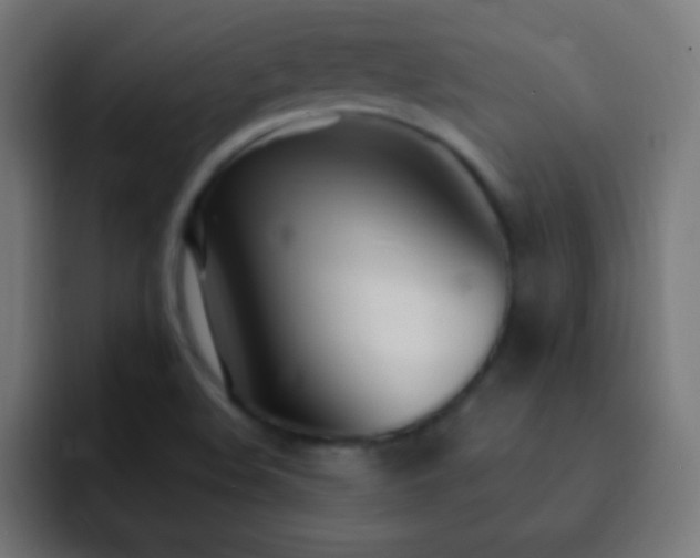 X0000093091508200710031802