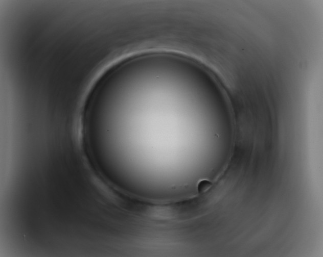 X0000093091511200710031802