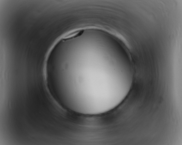 X0000093091516200710031803