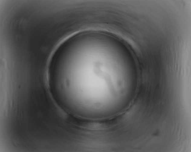 X0000093091517200710031803