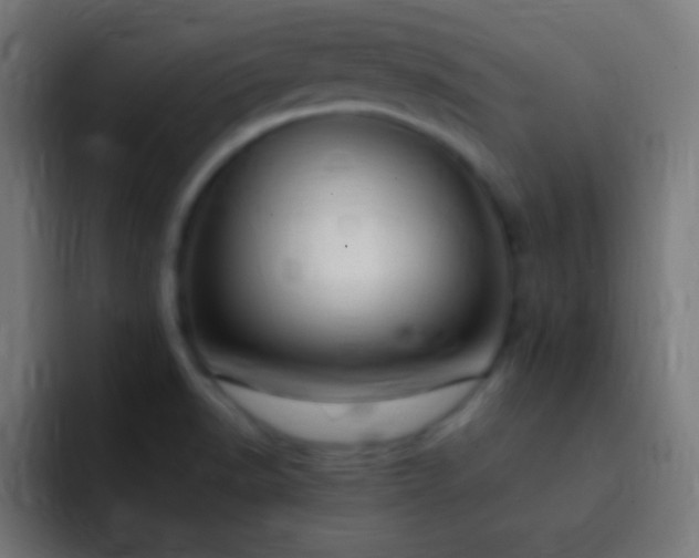 X0000093091518200710031803