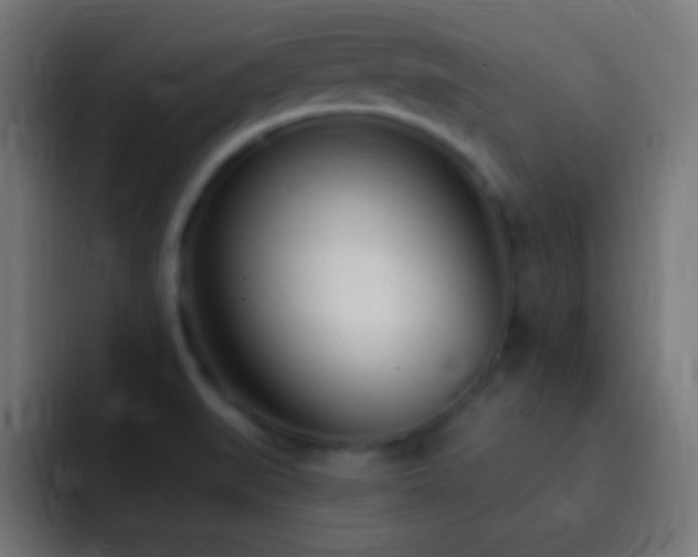 X0000093091519200710031803