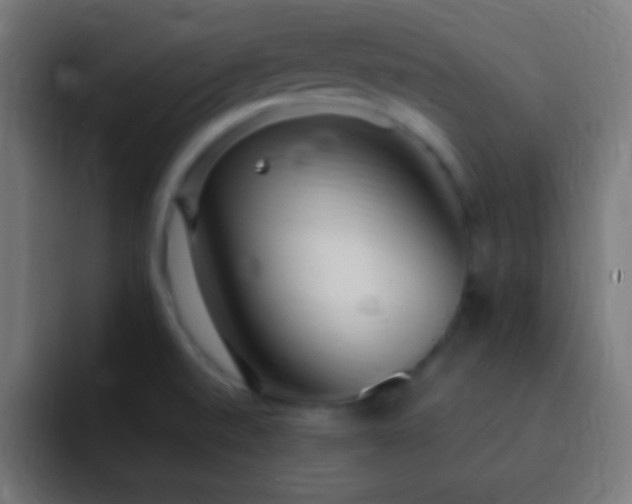 X0000093091520200710031803