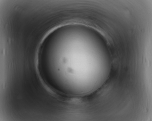 X0000093091523200710031803