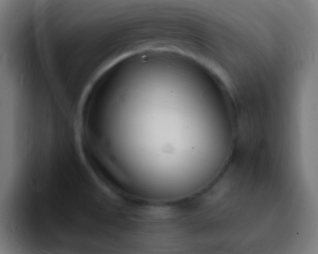 X0000093091525200710031803