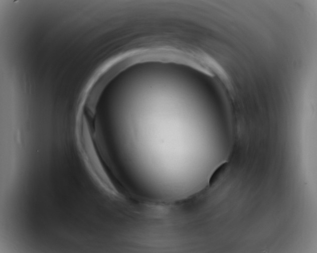 X0000093091528200710031803