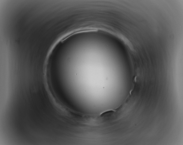 X0000093091530200710031803