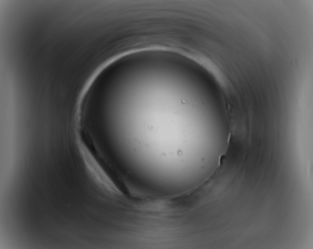 X0000093091532200710031803