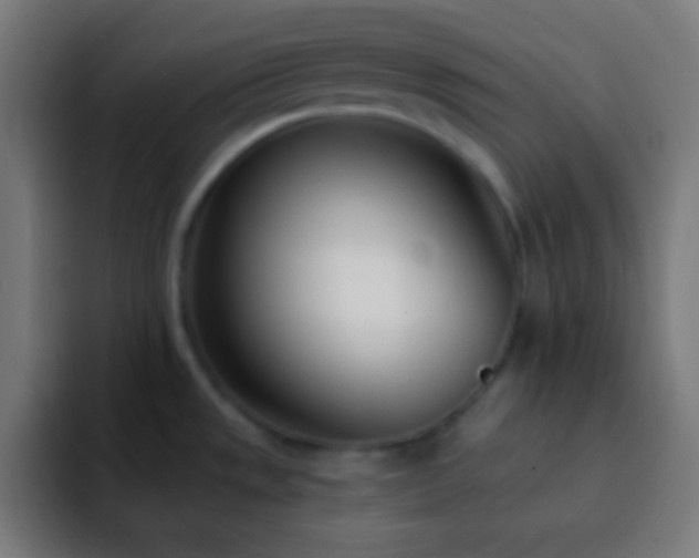 X0000093091533200710031803