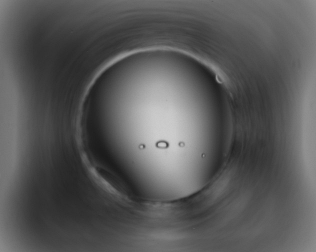 X0000093091534200710031803