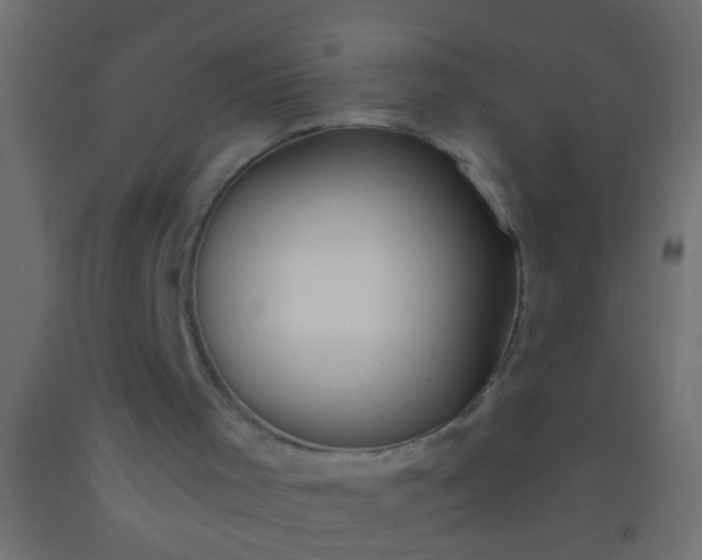 X0000093090001200710101527