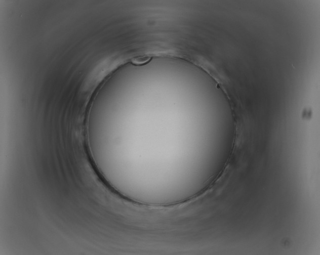 X0000093090002200710101527