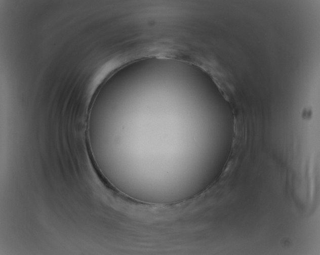 X0000093090003200710101527