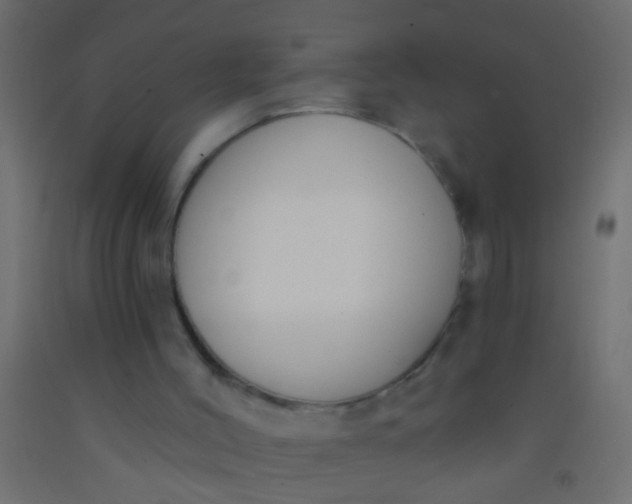 X0000093090004200710101527