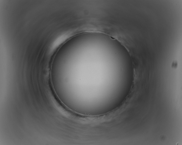 X0000093090005200710101527