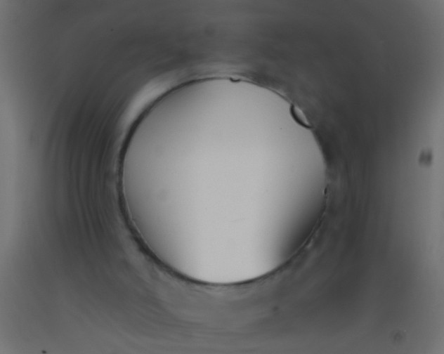 X0000093090006200710101527