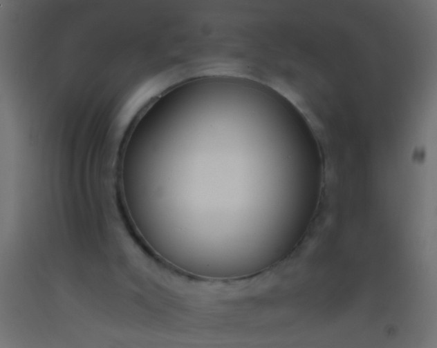 X0000093090007200710101526