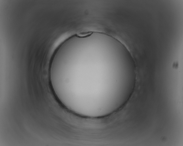 X0000093090008200710101526