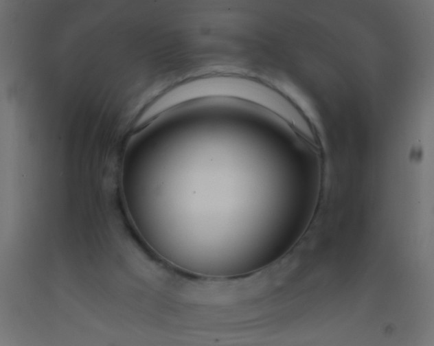 X0000093090009200710101526